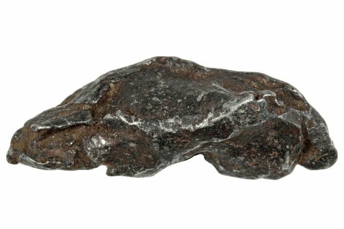 Gebel Kamil Iron Meteorite ( g) - Egypt #263617